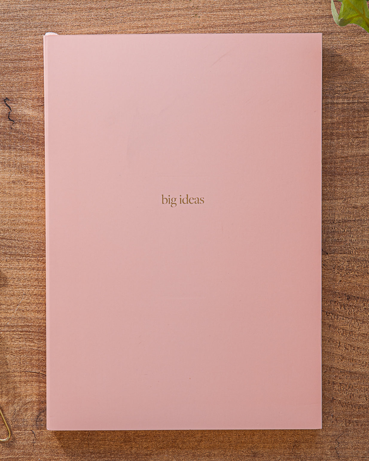 Premium A5 Lined Notebook - 'big ideas'