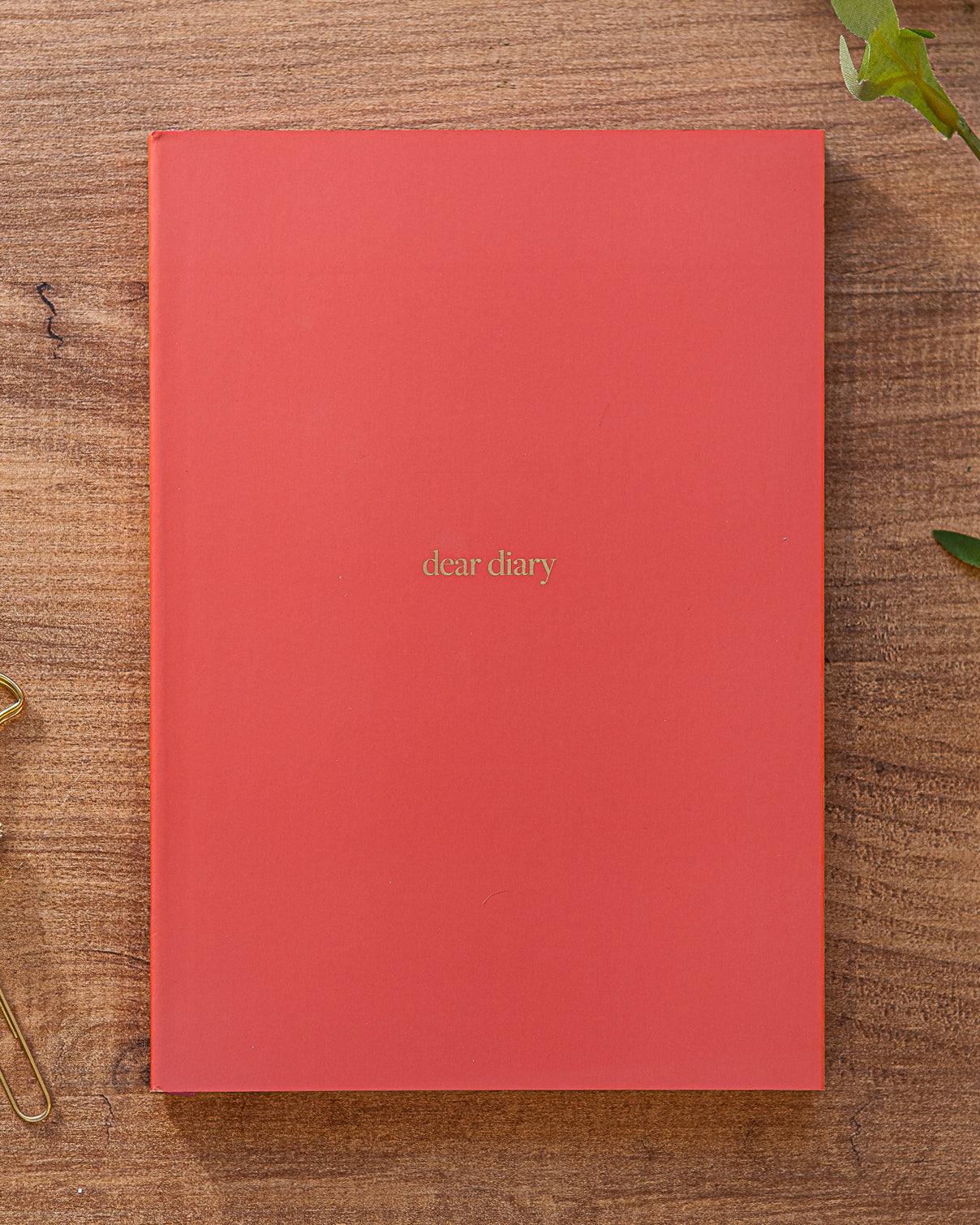 Premium A5 Lined Notebook - 'dear diary'