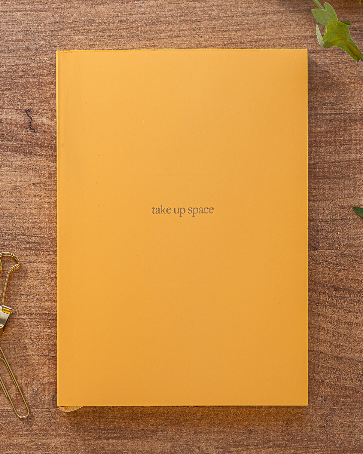 Premium A5 Lined Notebook - 'take up space'