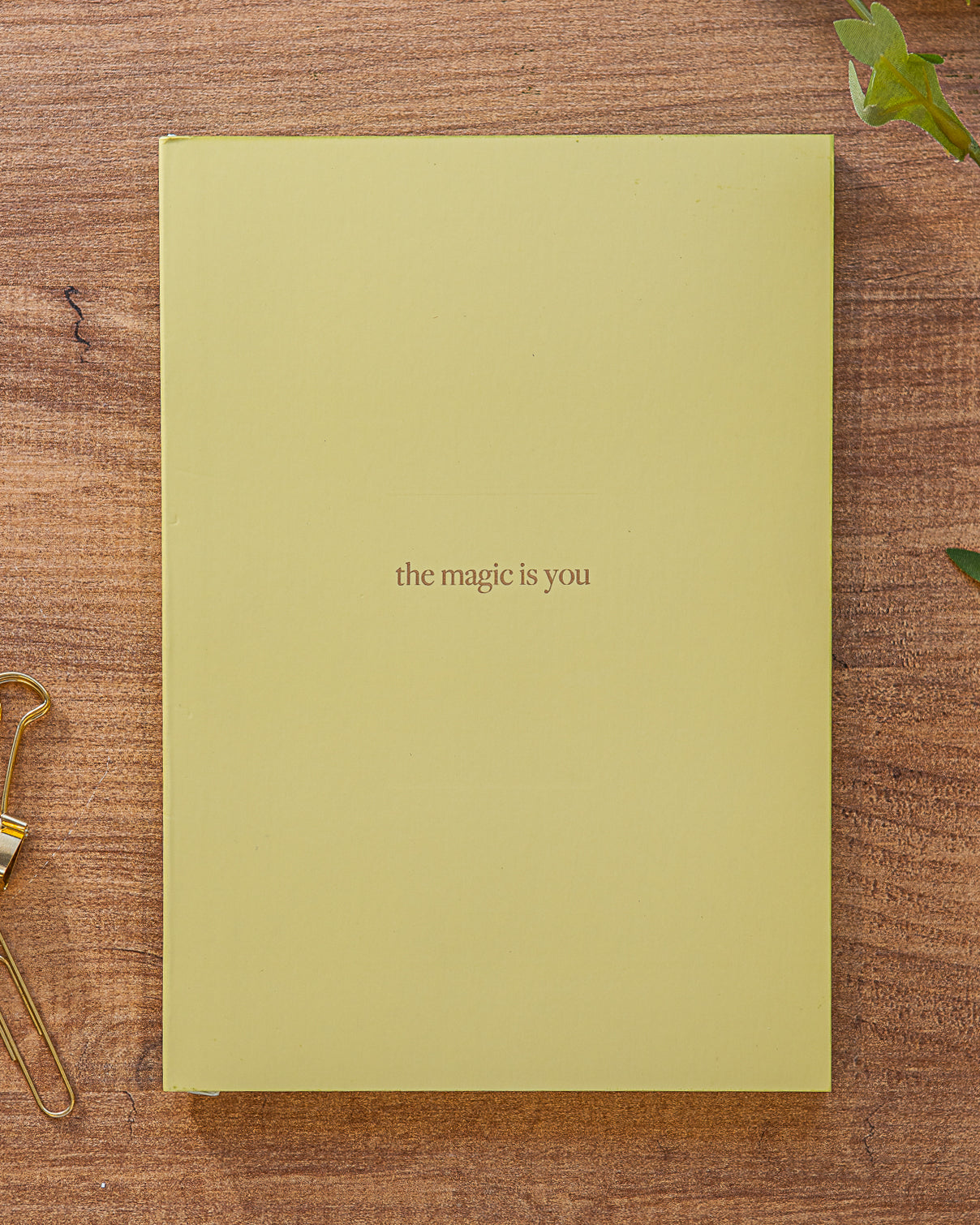 Premium A5 Lined Notebook - 'the magic is you'